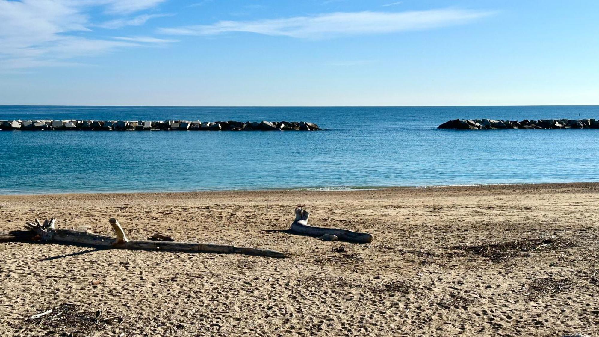 P020 - Porto Recanati, Nuovo Trilocale Con Giardino Eksteriør billede